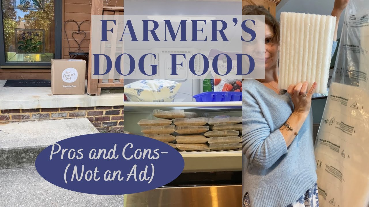 The Farmer s Dog Food 1 Year Review Costs Pro s Con s YouTube the-farmer-s-dog-food-1-year-review-costs-pro-s-con-s-youtube