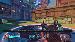 Paladins training mode bug (Ps4)