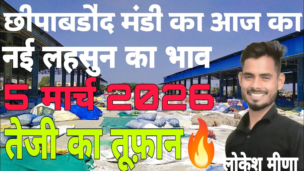 तूफ़ानी तेजी🔥छिपाबडौद मंडी का आज का नई लहसुन का भाव,Aaj Ka Ooty Lahsun ka bhav,Lahsun ka bhav aaj ka