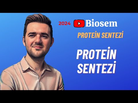 Protein Sentezi - Genden Proteine | Konu Anlatımı 12. Sınıf Biyoloji YKS 2024