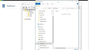 IPGRAY : Tortoise SVN - How to view and check out the Visual SVN repositories from Tortoise SVN