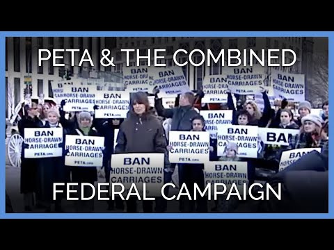 Support PETA through the Combined Federal Campaign