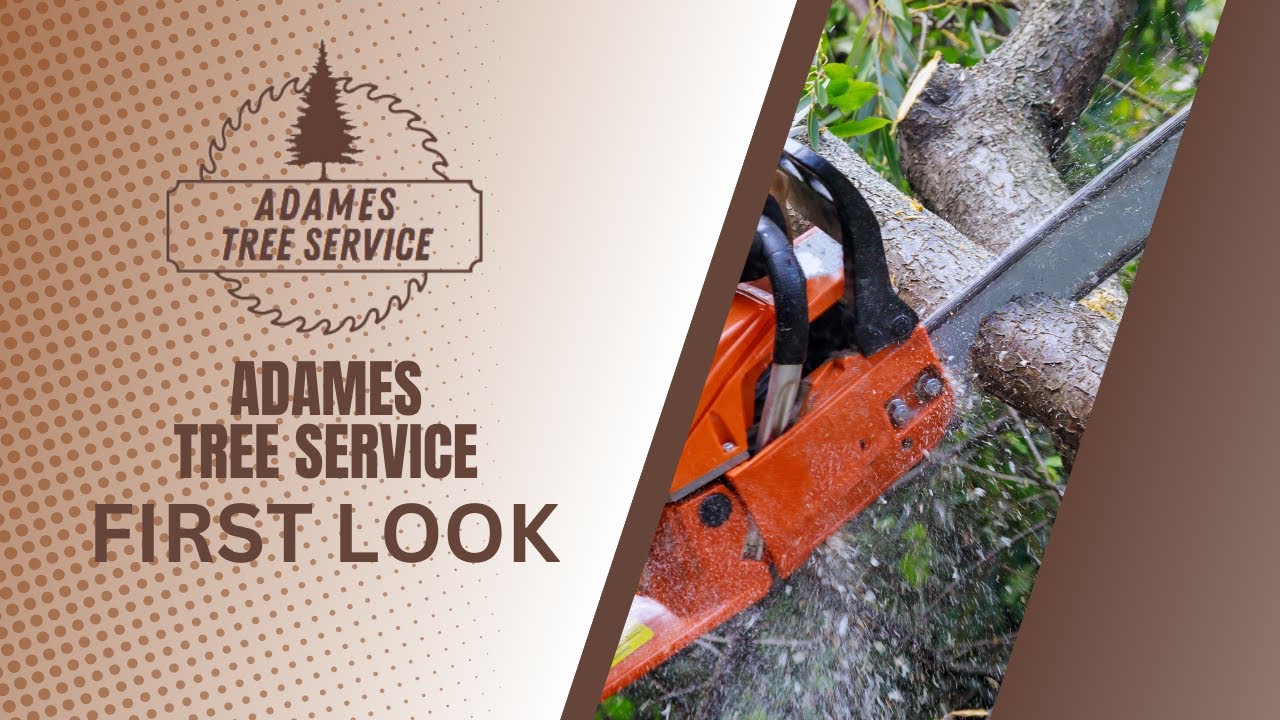 Landscape Services with Adames Tree Service | San Antonio, TX