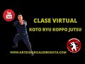 Koto ryu koppo jutsu  ninjutsu  bujinkan