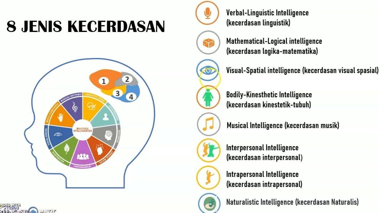 mengenal kecerdasan majemuk untuk anak usia dini YouTube