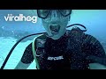 Dentist Fish Clean Diver's Teeth || ViralHog