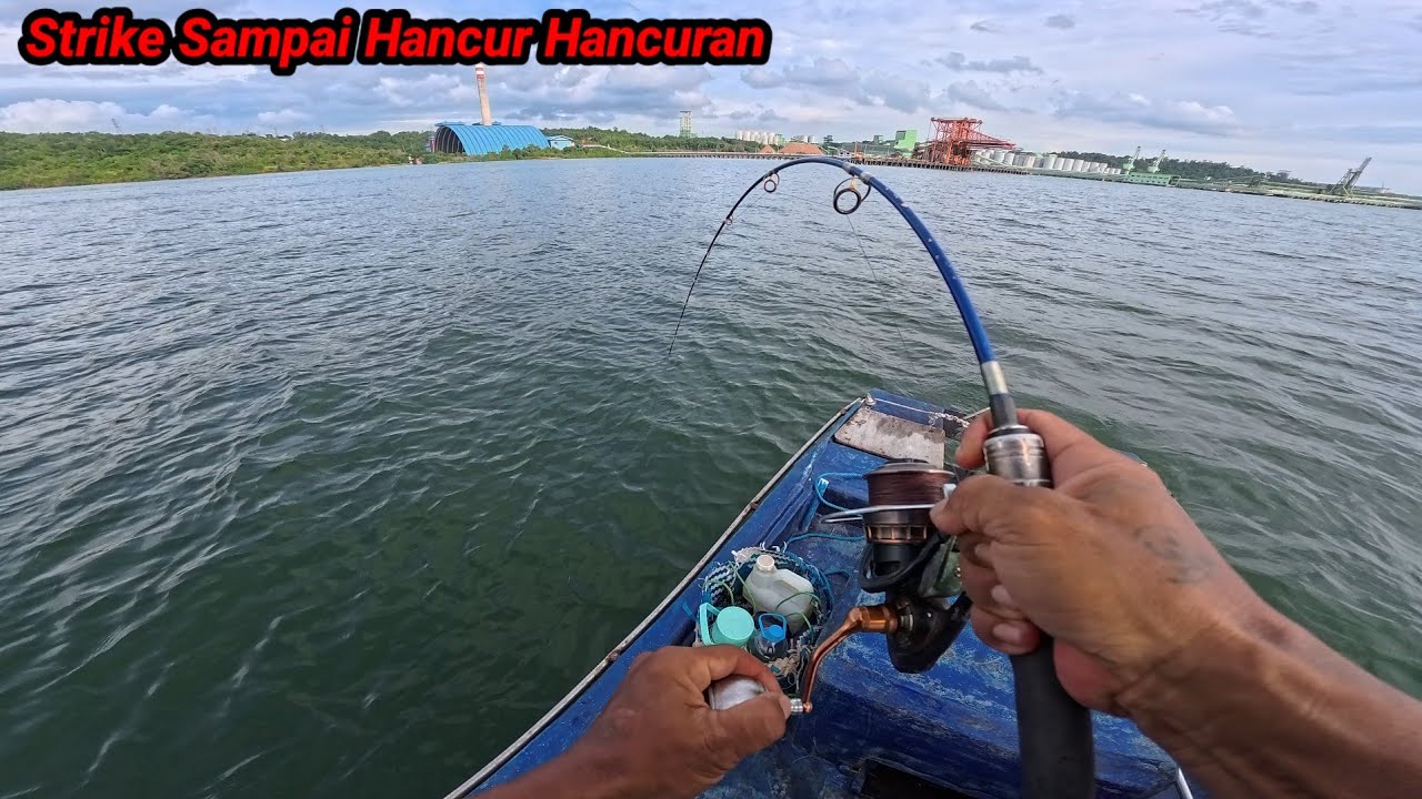 Sulit Di Percaya! Di Kira ikan Kecil Ternyata ikan Besar, Langsung Melawan