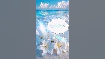 القرآن الكريم بصوت [ابراهيم الشيخ] | تلاوة خاشعة تريح القلب #ابراهيم #اكسبلور #المصحف #لايك #تيك_توك