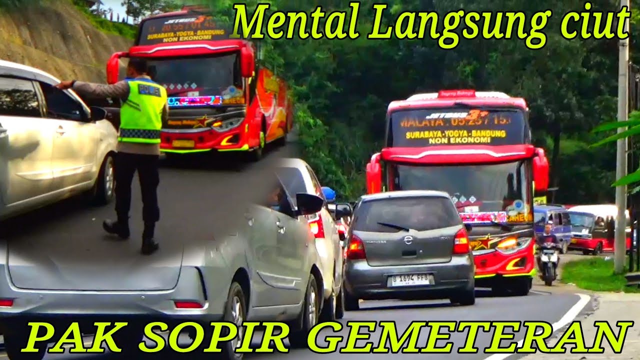 sopir nekad kena mental di hadang bus sugeng rahayu sampai kebingungan ❗️macet tanjakan gentong