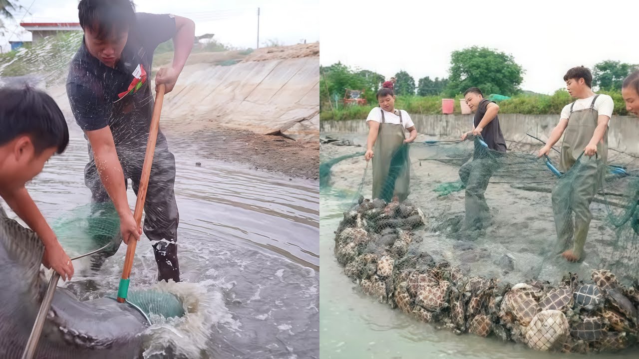 花5万包下一个鱼王塘，没想到网都拉断了，这得有多少鱼