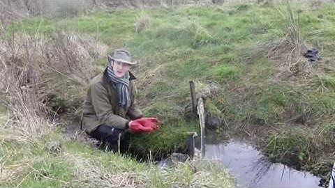 Project introduction Video - Natural Flood Management