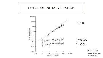 Arlin Stoltzfus, ASN Vice-presidential Symposium 2022