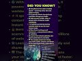 🌐 The Invisible Guard of the Internet!🔒