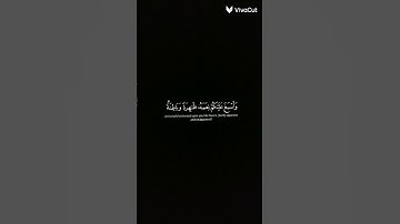 #اكسبلور #المصحف #قران #الرحمن قران قران كريم