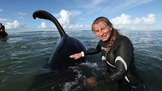 Ingrid Visser  The Whale Sanctuary Project  Uber Group Case Study 4