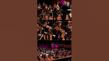 Thumbnail of Tchaikovsky – Violin Concerto (Part 2) | NZSO x Hadelich, Slobodeniouk #orchestra