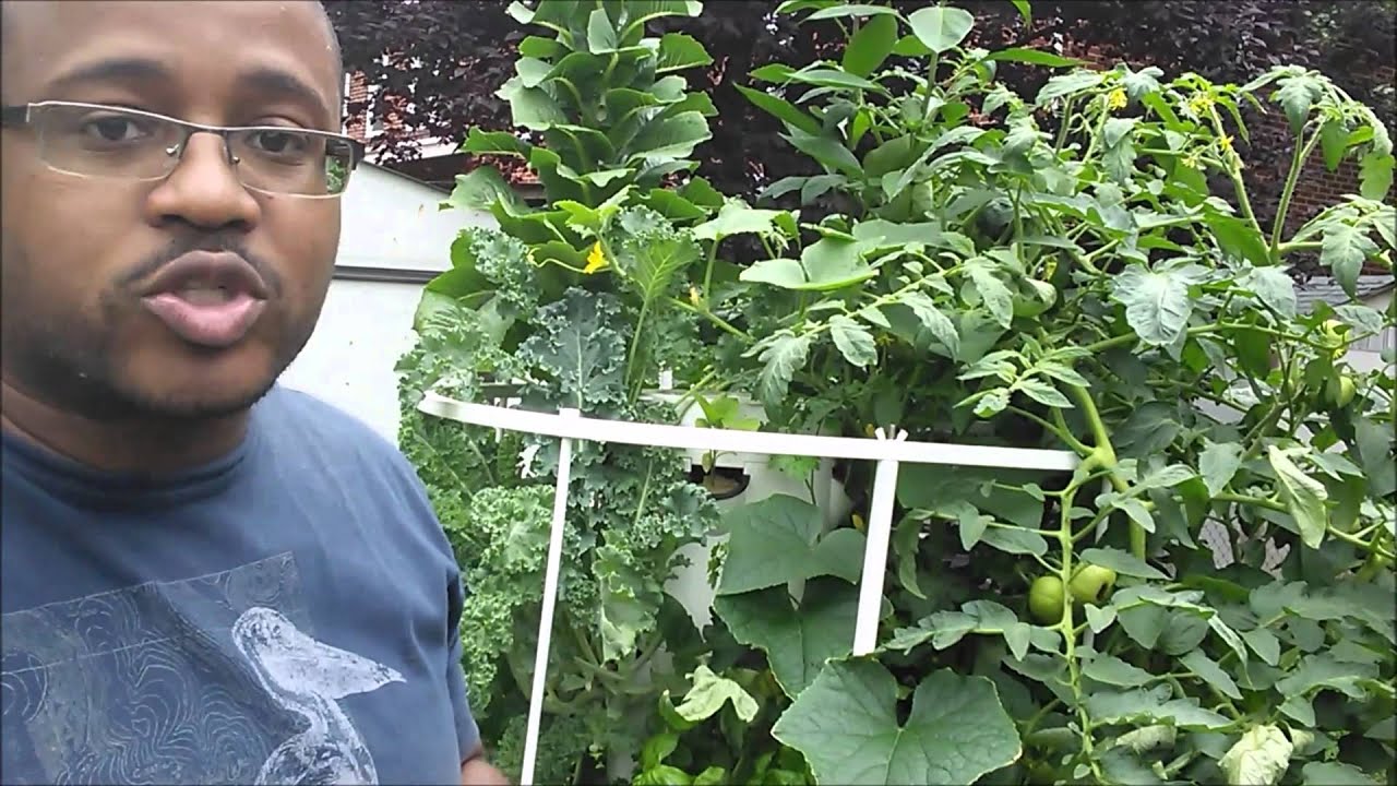 Tower Garden Maintenance YouTube