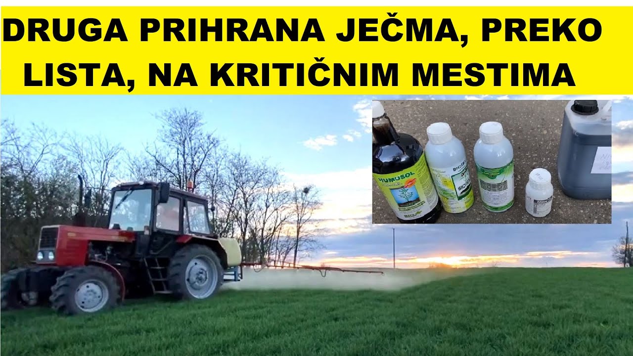 Druga prihrana ječma- preko lista