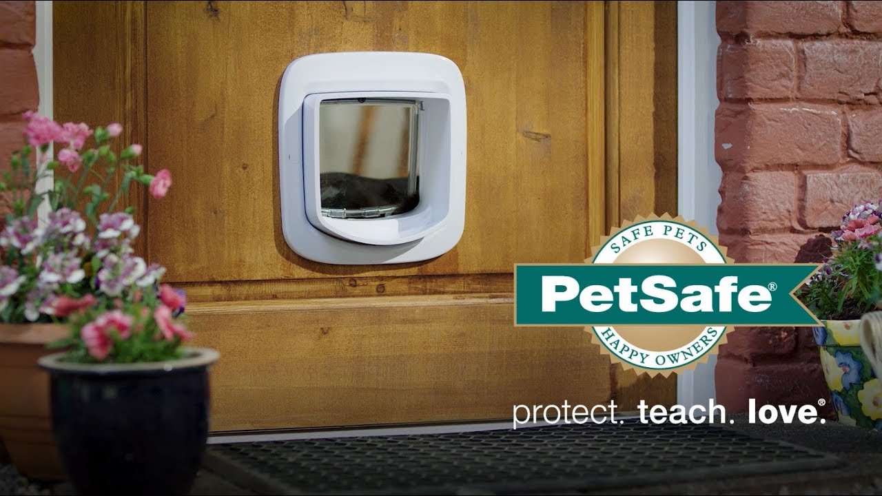 pet safe cat flap