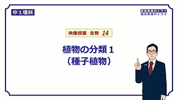 تحميل 生物種子