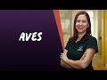 Aves - Brasil Escola