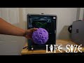 3D Printing Luffy Real Life Size Gum Gum Fruit