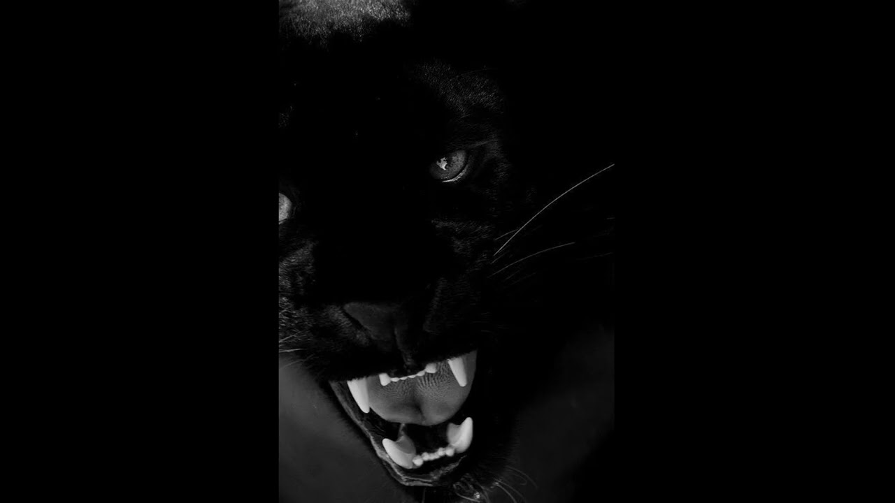 ICEGERGERT X ALBLAK52 TYPE BEAT - I L YOU