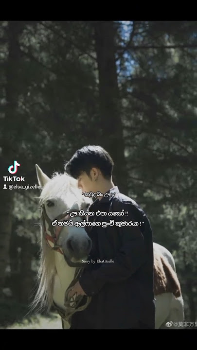 Wattpad Story✨️ #trending #viral #video #shorts #love #foryou #wattpad #bl #sinhala #story #edit #yt