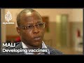 Mali scientists call for locally made inoculations