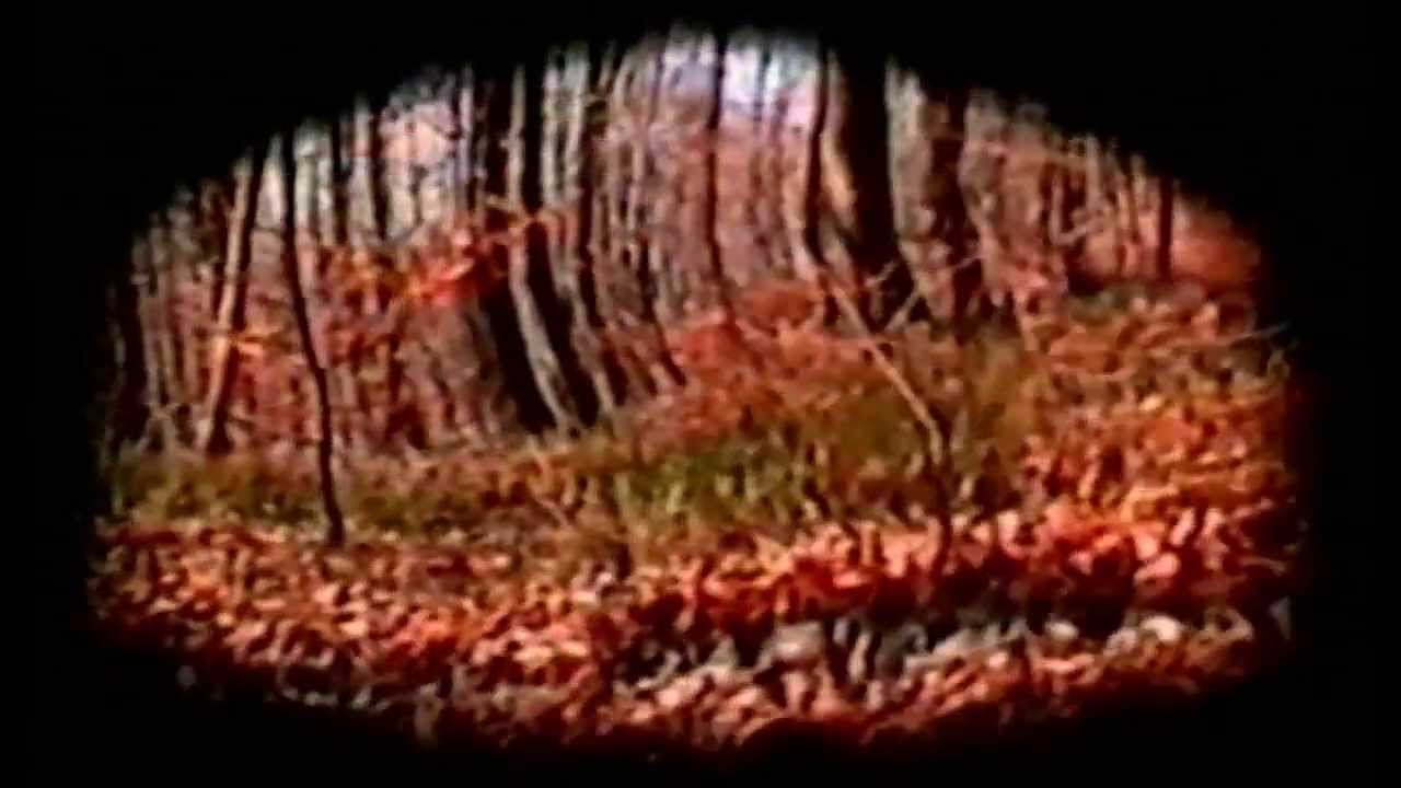 Björn Reinhard Frederking  grenzgänger