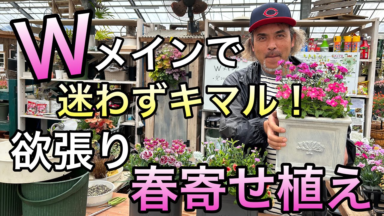 【寄せ植え】欲張りWメインの春寄せ植え