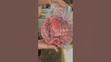 Bạch tuộc Nhật sashumi