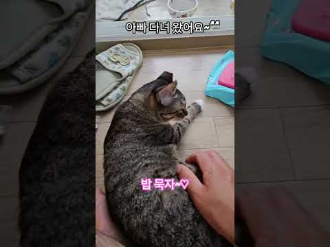 우리 딸 #햇살 #퇴근 #부산강서구 #구독 #좋아요 #감사합니다