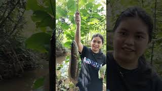 Download Lagu Dapat Kihung sebesar Tangan MP3