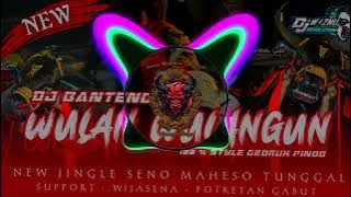 DJ Bantengan ‼️ 'Wulan Wulangun' 🔥 Seno Maheso Tunggal 🔥 Remixer By @Djwisnurevolutionreal
