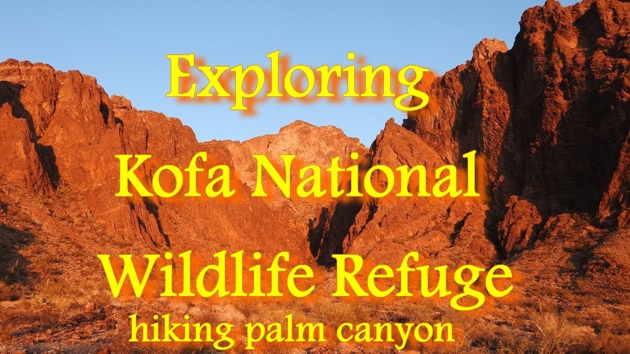 Hiking Palm Canyon Kofa National Wildlife Refuge