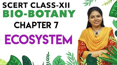 SCERT class 12 - Botany chapter 7 - Ecosystem