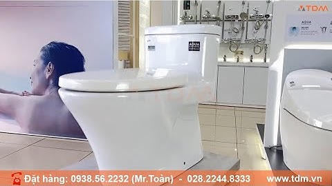 TDM.VN | Review bồn cầu INAX AC-959VAN (AC959VAN) bàn cầu 1 khối xả 2 nhấn cực mạnh và sạch