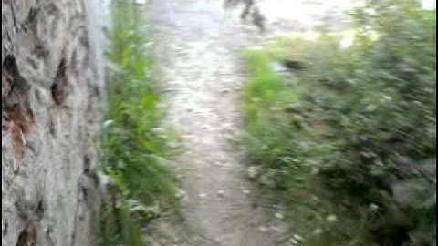 MARKVARTOVICE - EDA - 1.DÍL