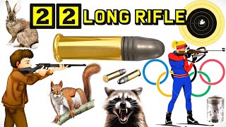 22 LONG RIFLE: History and Relevance