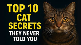 Top 10 Cat Secrets They Never Told You