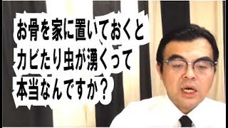 第587回「お骨を家に置いておくと、カビが生えたり虫が涌くって本当？」葬儀・葬式ｃｈ