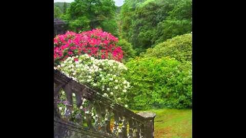 Achnacarry Castle Scottish Highlands Scotland