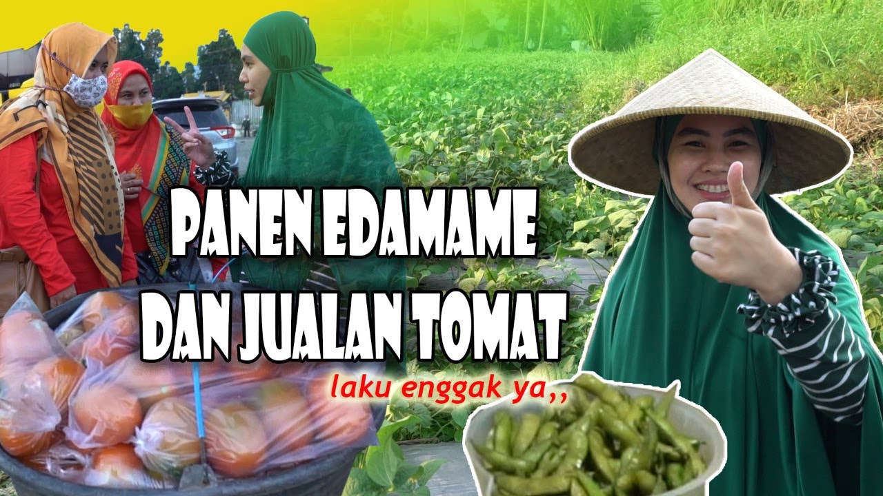 BELAJAR DAGANG KARTIKA PUTRI DIANTAR HABIB JUALAN KELILING!!!