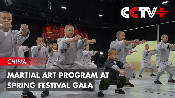 Martial Art Program at Spring Festival Gala Presents Audience with China's Traditional Culture - DayDayNews
