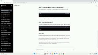 docker run python image interactive