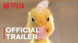 Tiny Creatures ¦ Official Trailer ¦ Netflix