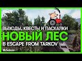 Раcширение Леса: новые выходы, точки интереса, квесты и пасхалки | Escape from Tarkov 0.12.9