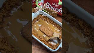 Lotus Biscoff Cake In 4 Minutes Recipe- Maddesmat.se