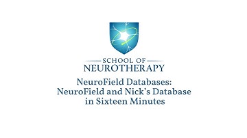 NeuroField and Nick’s Database in Sixteen Minutes